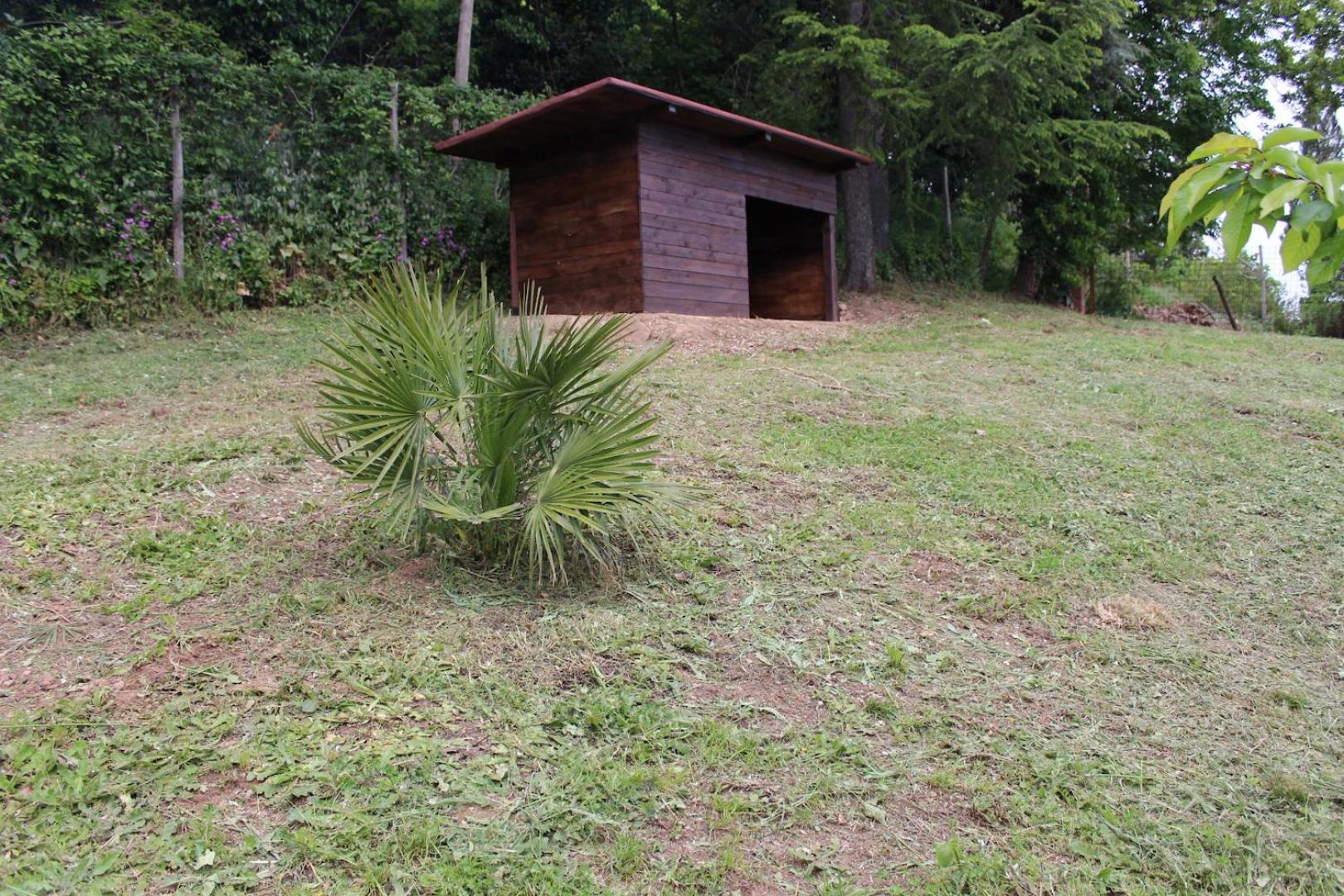 Villa La Rosa Dei Venti Monterotondo  Exterior foto